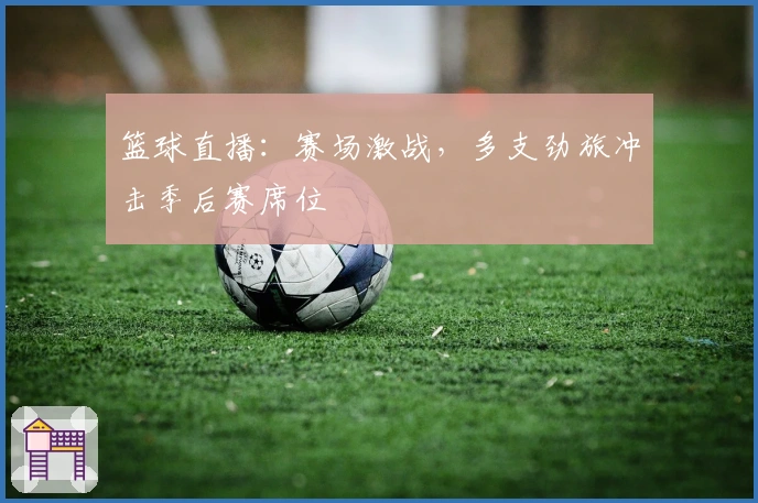 篮球直播：赛场激战，多支劲旅冲击季后赛席位